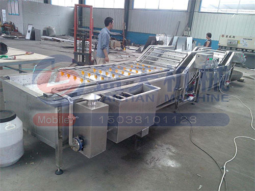 果蔬氣泡清洗機(jī)